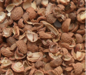 核桃深加工——核桃油，核桃粉，核桃工藝品，活性炭制品(圖3)