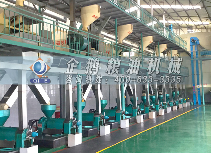 如何降低壓榨花生油中黃曲霉毒素含量？企鵝糧油機(jī)械為您提供可靠方法(圖2)