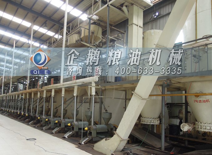 如何降低壓榨花生油中黃曲霉毒素含量？企鵝糧油機(jī)械為您提供可靠方法(圖3)