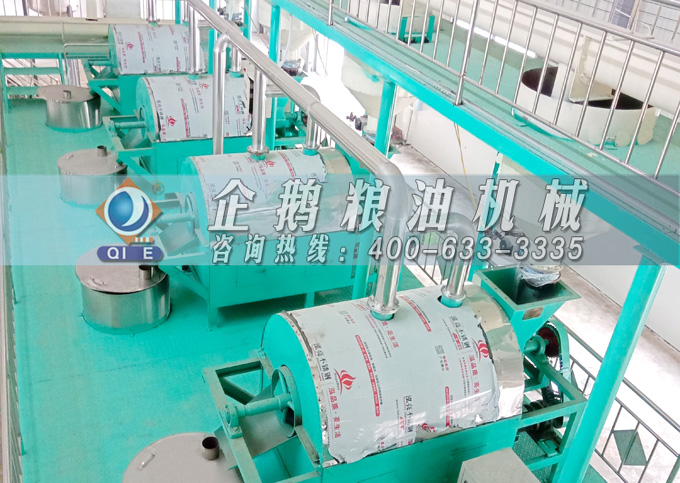 如何降低壓榨花生油中黃曲霉毒素含量？企鵝糧油機(jī)械為您提供可靠方法(圖4)