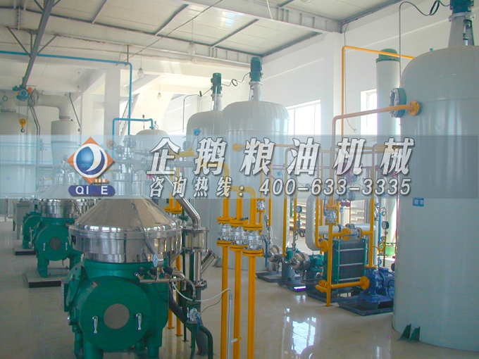 如何投資建設棕櫚油加工廠？企鵝糧油機械在線為您答疑解惑(圖2)