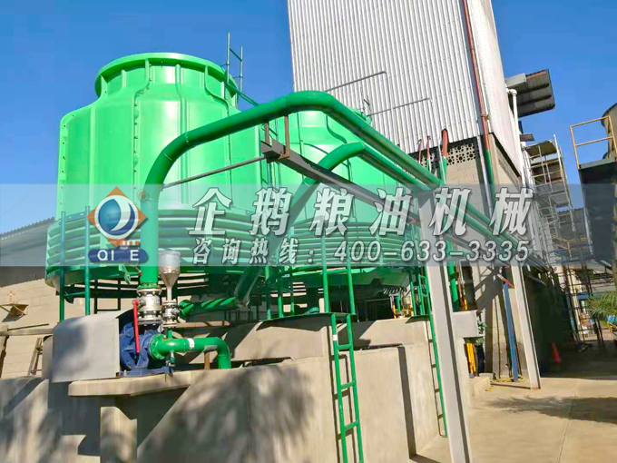 如何投資建設棕櫚油加工廠？企鵝糧油機械在線為您答疑解惑(圖3)