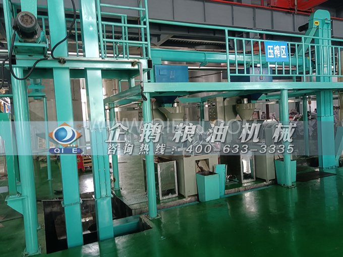 企鵝牌核桃油榨油設(shè)備，生產(chǎn)綠色健康油受大眾喜愛(圖4)