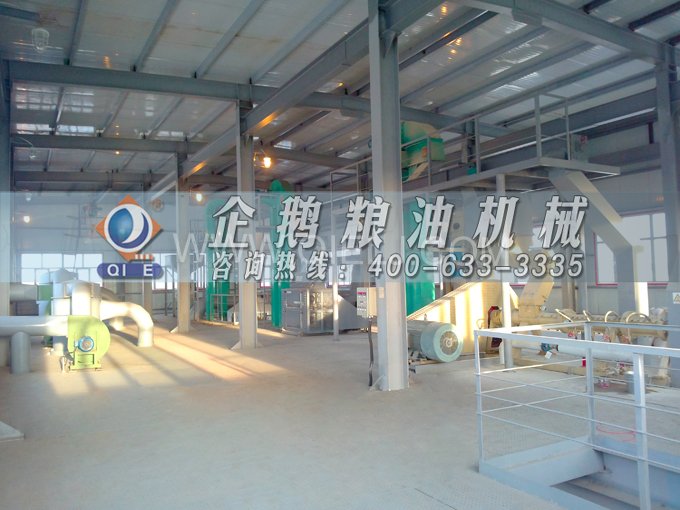 如何提取到高質(zhì)量的大豆油？一條企鵝浸出生產(chǎn)線就足夠了(圖2)